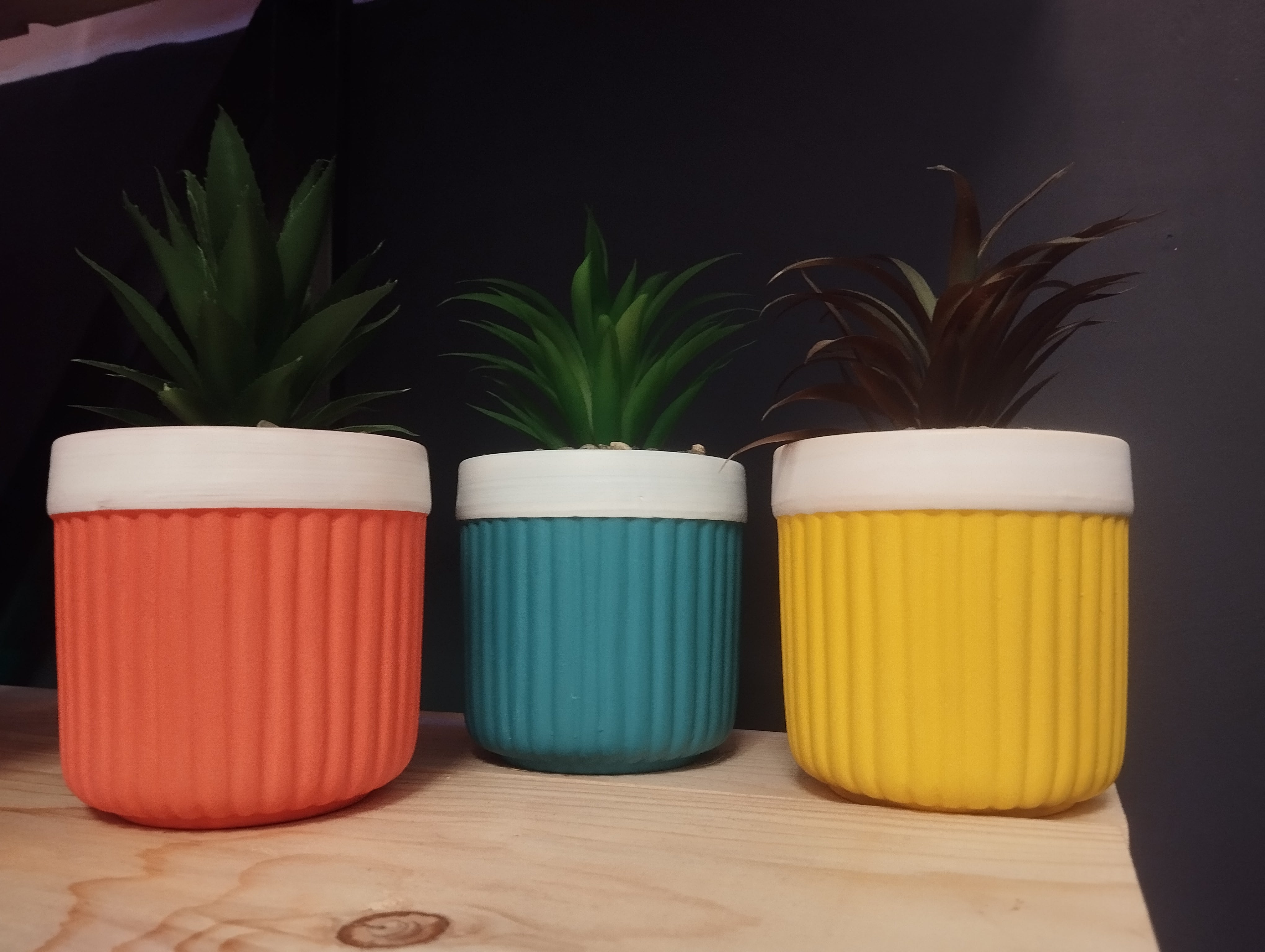 Mini Piante Color Vibes – Un Tocco di Natura e Allegria in Ogni Spazio! 🌈🌿